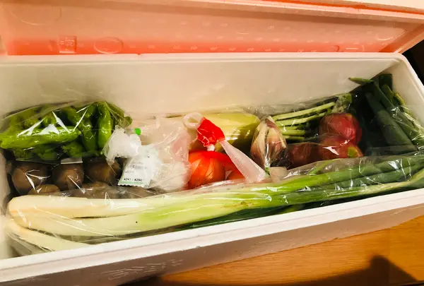 パノラマ市場の写真・動画_image_460642