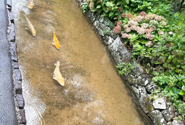 旧湯川家屋敷の写真・動画_image_460663