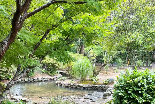 旧湯川家屋敷の写真・動画_image_460664