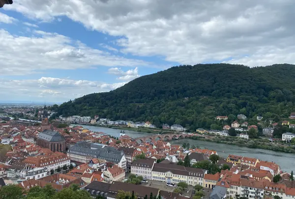Heidelberger Schloss（ハイデルベルク城）の写真・動画_image_460895