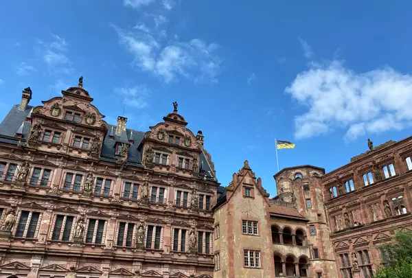 Heidelberger Schloss（ハイデルベルク城）の写真・動画_image_460896