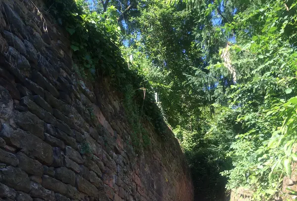 Philosophenwegの写真・動画_image_460897