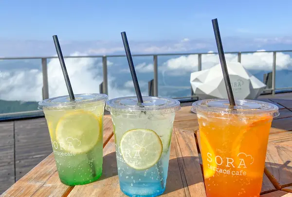 SORA terrace（ソラテラス）の写真・動画_image_460909