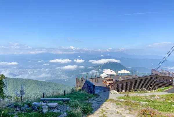 SORA terrace（ソラテラス）の写真・動画_image_460910