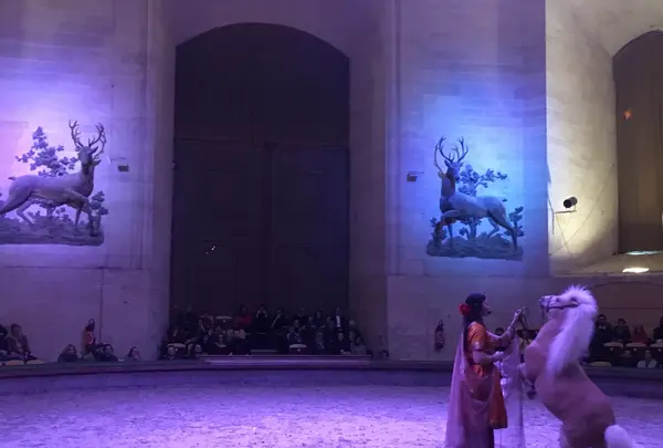 Horse Museumの写真・動画_image_460965