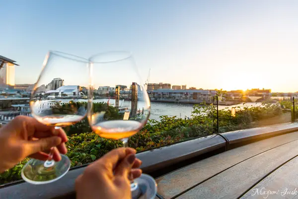 Smoke Barの写真・動画_image_461050