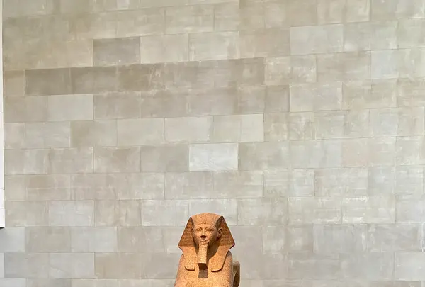 メトロポリタン美術館の写真・動画_image_461055