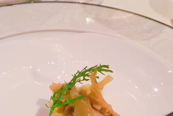 青山エリュシオンハウスの写真・動画_image_461154