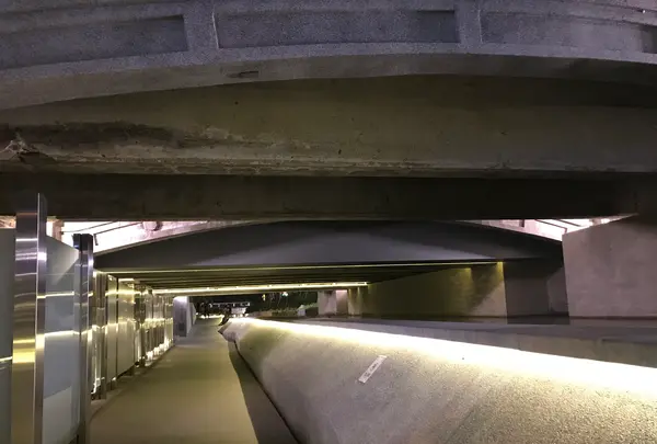 緑川の写真・動画_image_461305