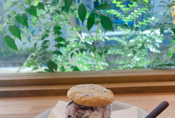 DIM LIGHT COFFEEの写真・動画_image_461348