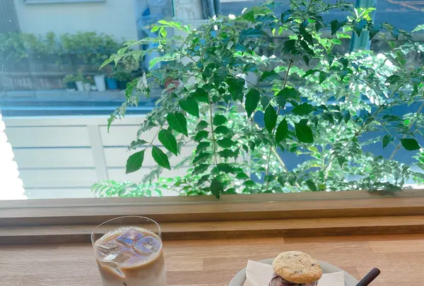 DIM LIGHT COFFEEの写真・動画_image_461349