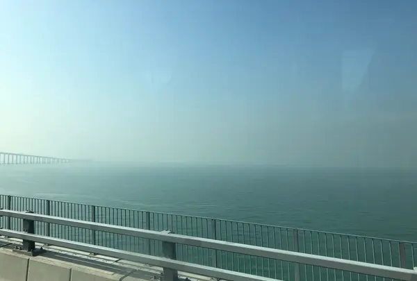 港珠澳大橋 Hongkong-Zhuhai-Macao Bridgeの写真・動画_image_461520