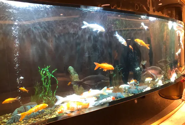 澳門葡京酒店の写真・動画_image_461525