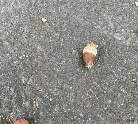 上手稲神社の写真・動画_image_461996