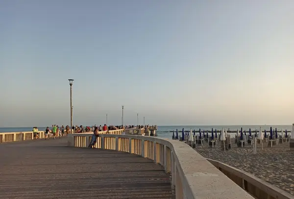 Pontile Di Ostiaの写真・動画_image_462213