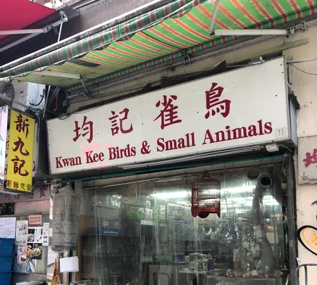 The Pawnの写真・動画_image_462252