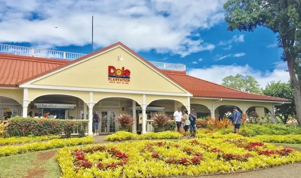 Dole Plantationの写真・動画_image_462264