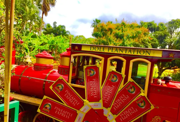 Dole Plantationの写真・動画_image_462265