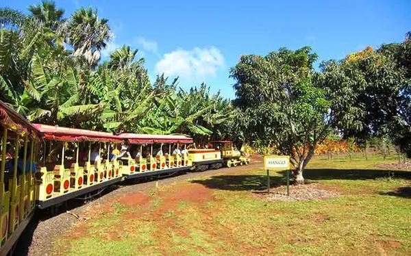 Dole Plantationの写真・動画_image_462266