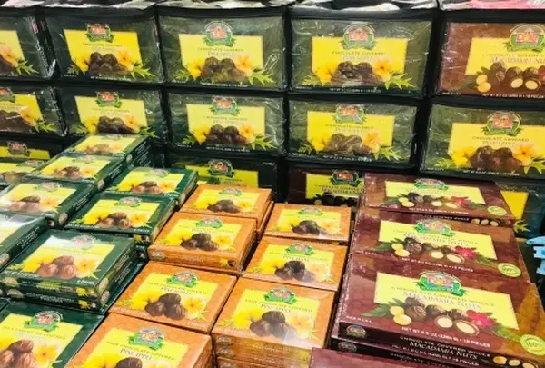 Artopia Hawaiiの写真・動画_image_462269