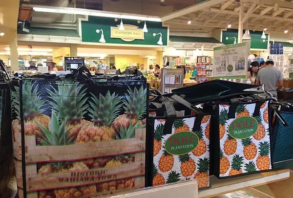 Artopia Hawaiiの写真・動画_image_462270