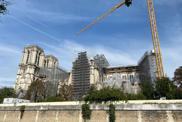ノートルダム大聖堂の写真・動画_image_462315