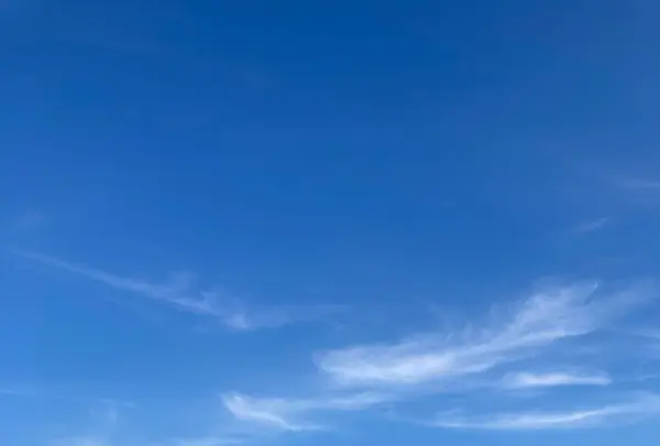 させぼ五番街の写真・動画_image_462523