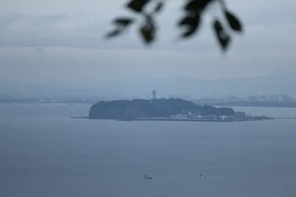 はやま三ケ岡山緑地の写真・動画_image_462546