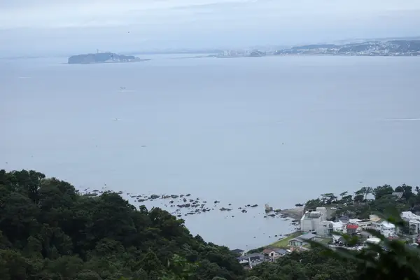 はやま三ケ岡山緑地の写真・動画_image_462547