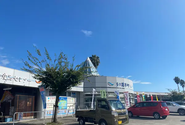 多々羅しまなみ公園の写真・動画_image_462765