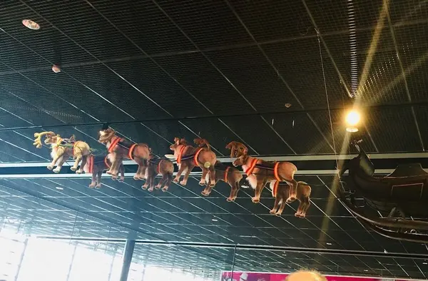 Rovaniemi Airportの写真・動画_image_462843