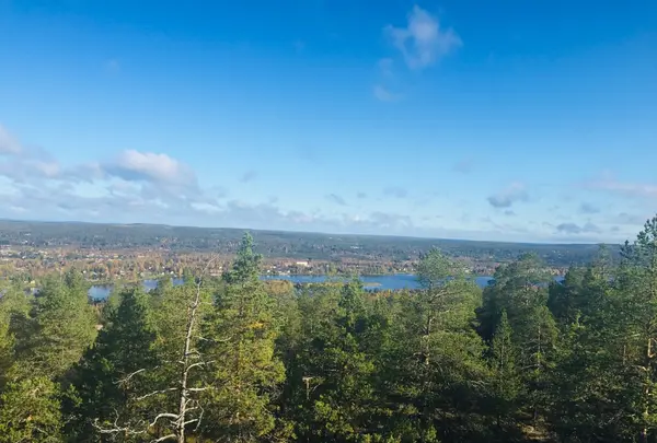 Lapland Hotel Sky Ounasvaara ホテルの写真・動画_image_462860