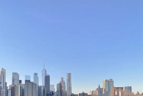 1 Hotel Brooklyn Bridgeの写真・動画_image_462885