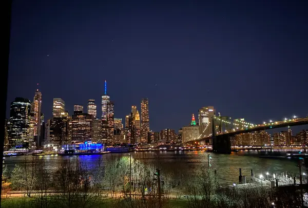 1 Hotel Brooklyn Bridgeの写真・動画_image_462889