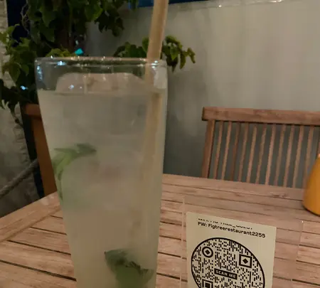 フィグ ツリーの写真・動画_image_463077