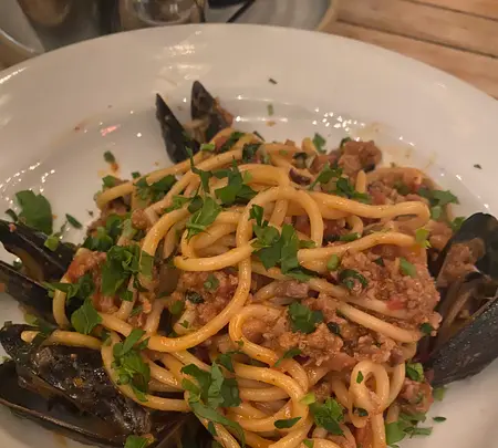 フィグ ツリーの写真・動画_image_463078