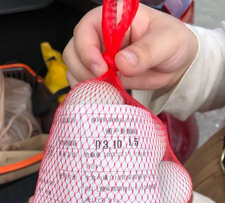 瀬戸養鶏所の写真・動画_image_463098