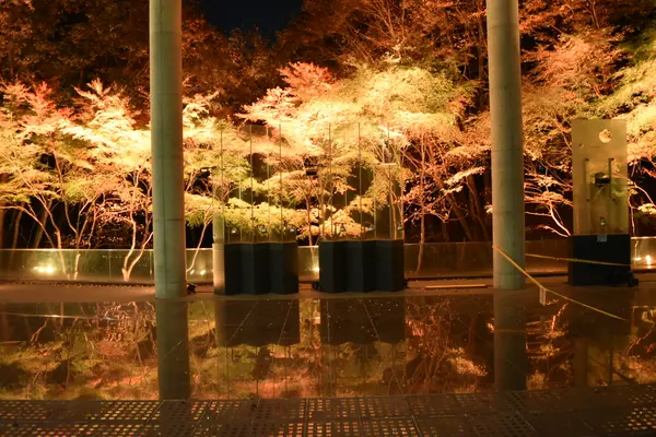 宮城県図書館の写真・動画_image_463379