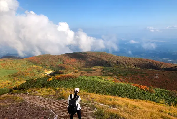 栗駒山の写真・動画_image_463384