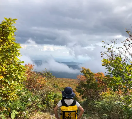 栗駒山の写真・動画_image_463387