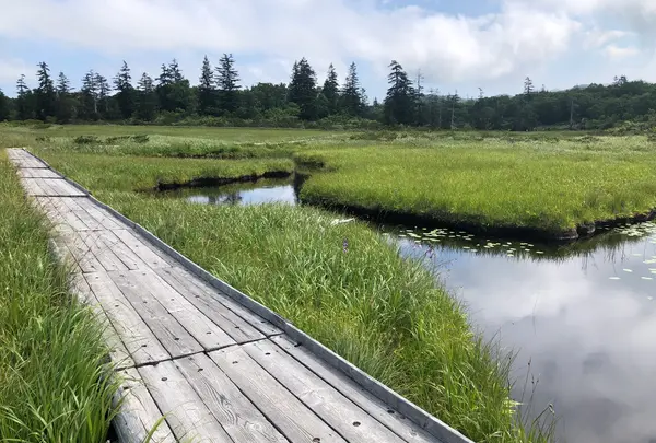 神仙沼の写真・動画_image_463586