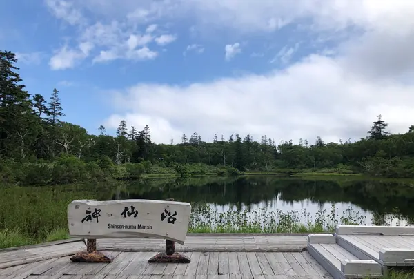 神仙沼の写真・動画_image_463587