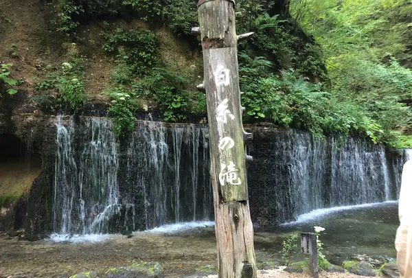 白糸の滝の写真・動画_image_463588
