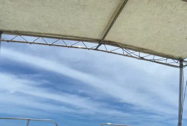 タンディーマリンの写真・動画_image_463763