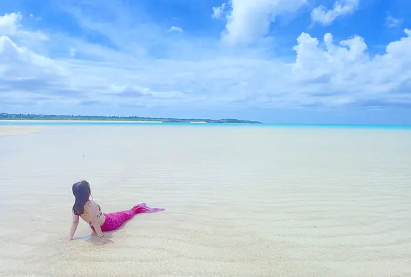 百合ヶ浜の写真・動画_image_463771