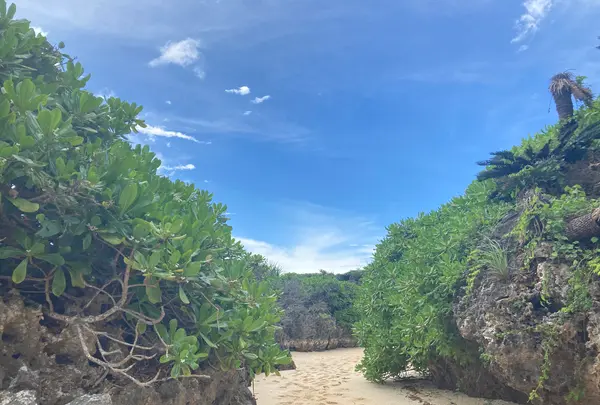 ウドノスビーチの写真・動画_image_463774