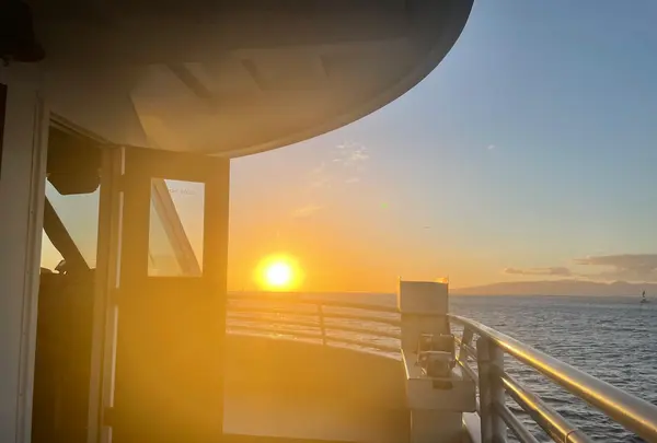 ポート・ワイキキ・クルーズの写真・動画_image_464084