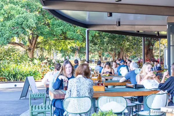 Terrace on the Domainの写真・動画_image_464311