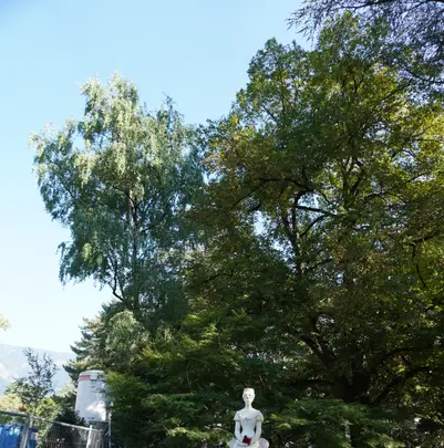 Café Darlingの写真・動画_image_464412