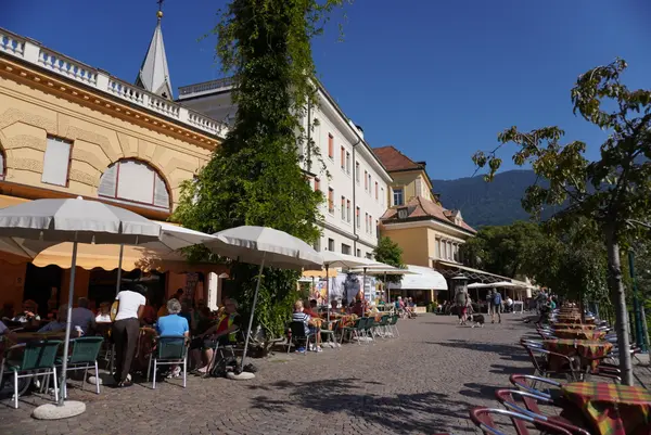 Café Darlingの写真・動画_image_464415